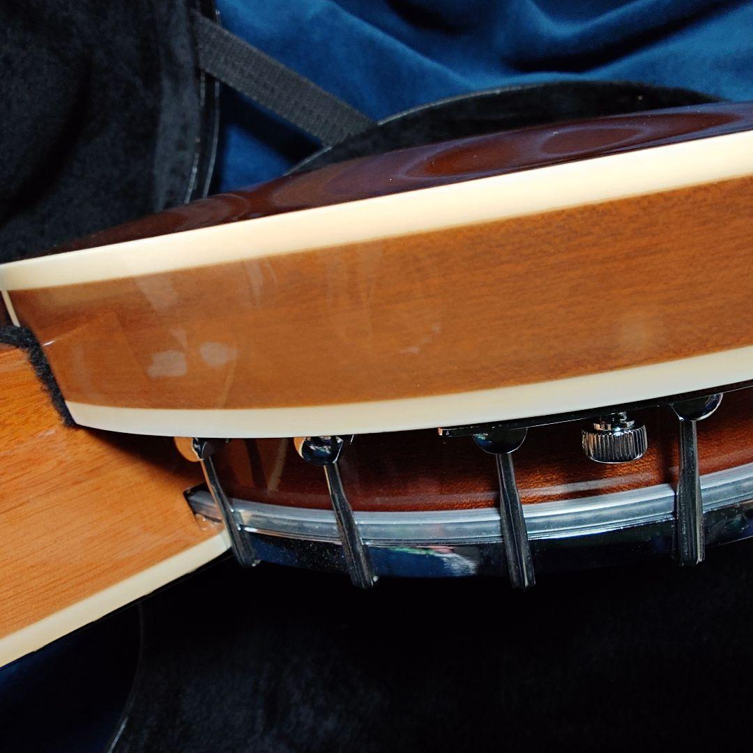 ARIA ギターバンジョー SB-10G