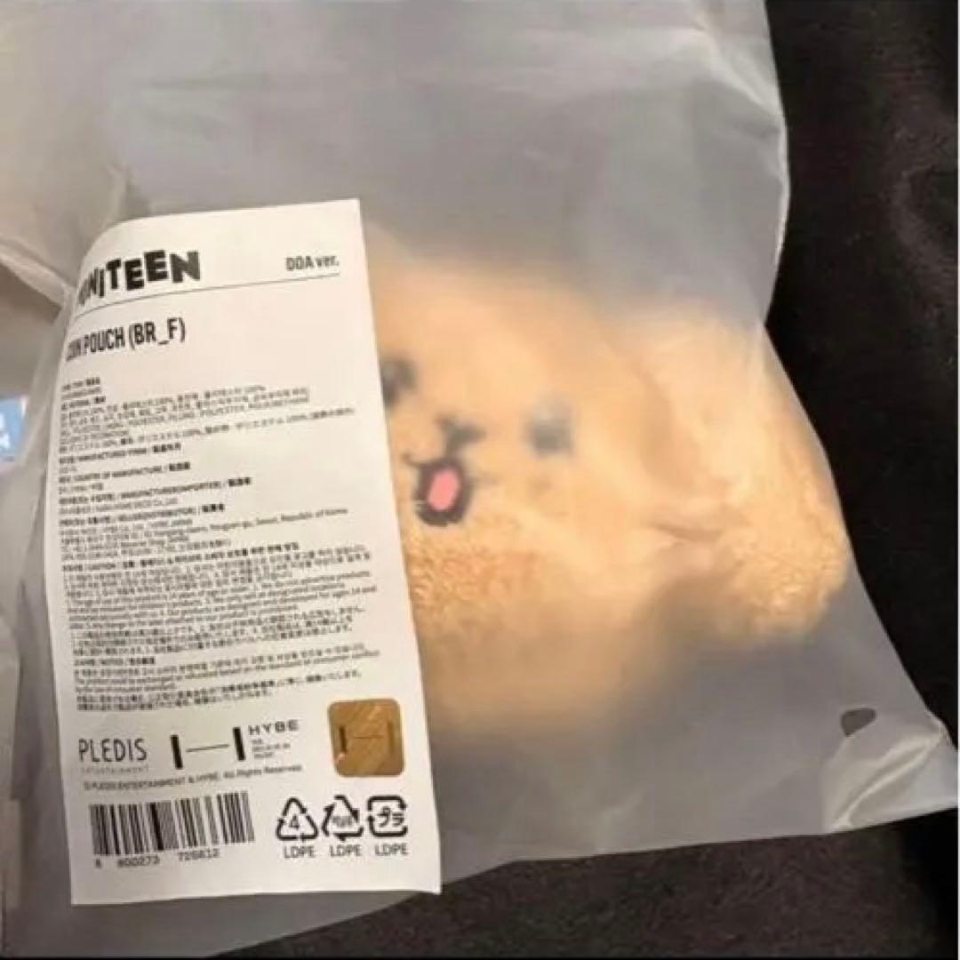 Seventeen ドギョム ドア セット