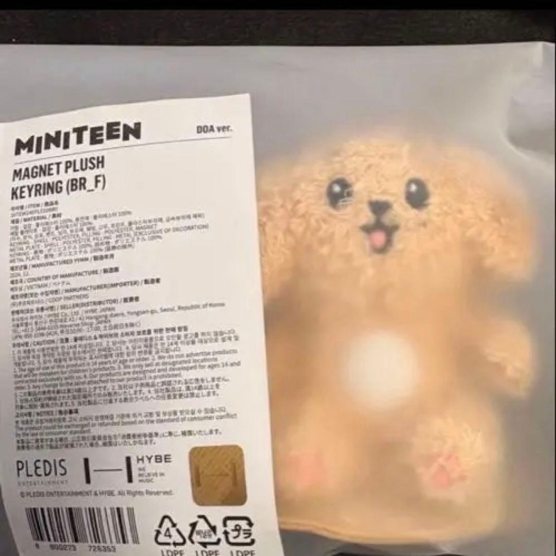 Seventeen ドギョム ドア セット