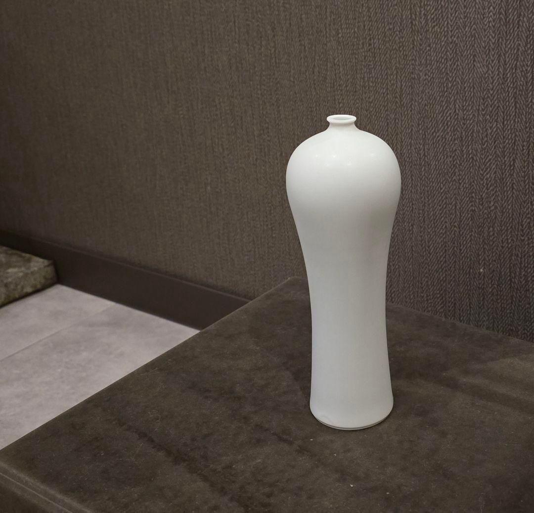 【希少】大谷哲也　梅瓶