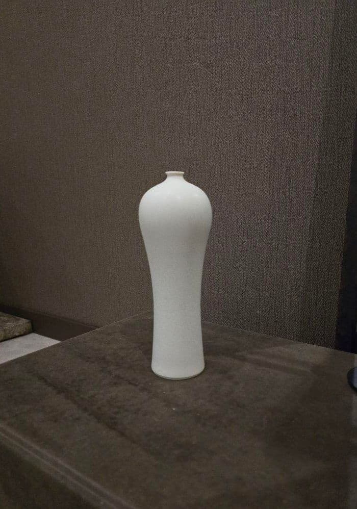 【希少】大谷哲也　梅瓶