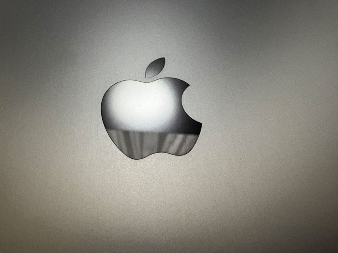 Apple iPad Pro (12.9インチ 第4世代) 256GB