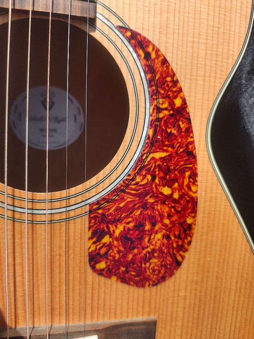 超美品　Guild　M240E Fishman　プリアンプ　ハードケース付