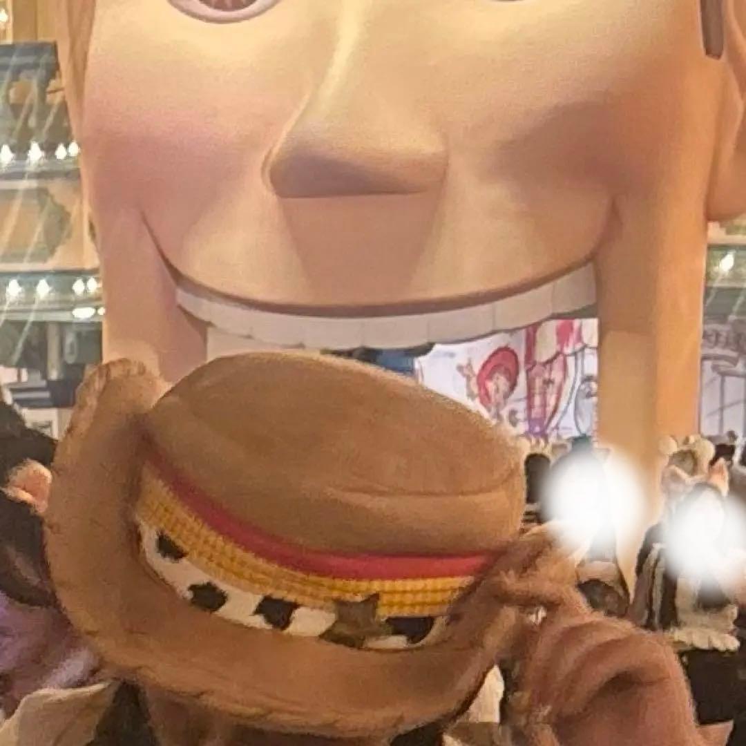 トイストーリー ウッディ ファンキャップ