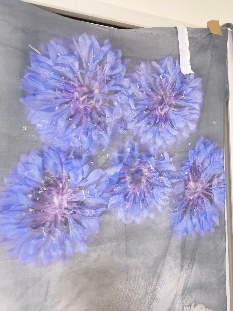 Colomba leddi milano　花柄カーテン