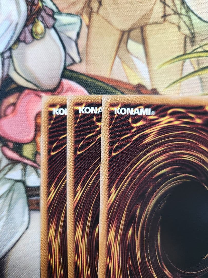 遊戯王　魔術師の弟子 ブラックマジシャンガール 25th 日版　3枚セット