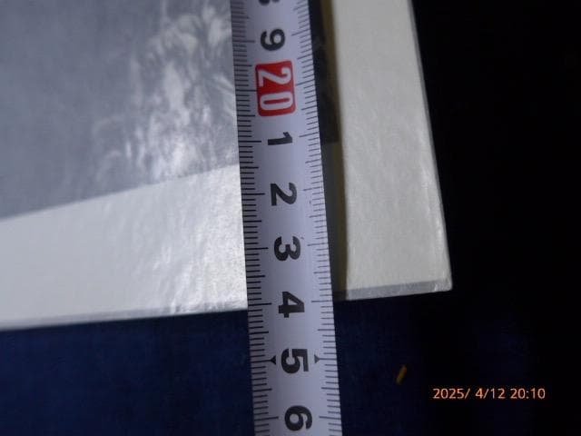 貴重　イリナ・イオネスコのオリジナルプリント「EVA／エヴァ」本物保証