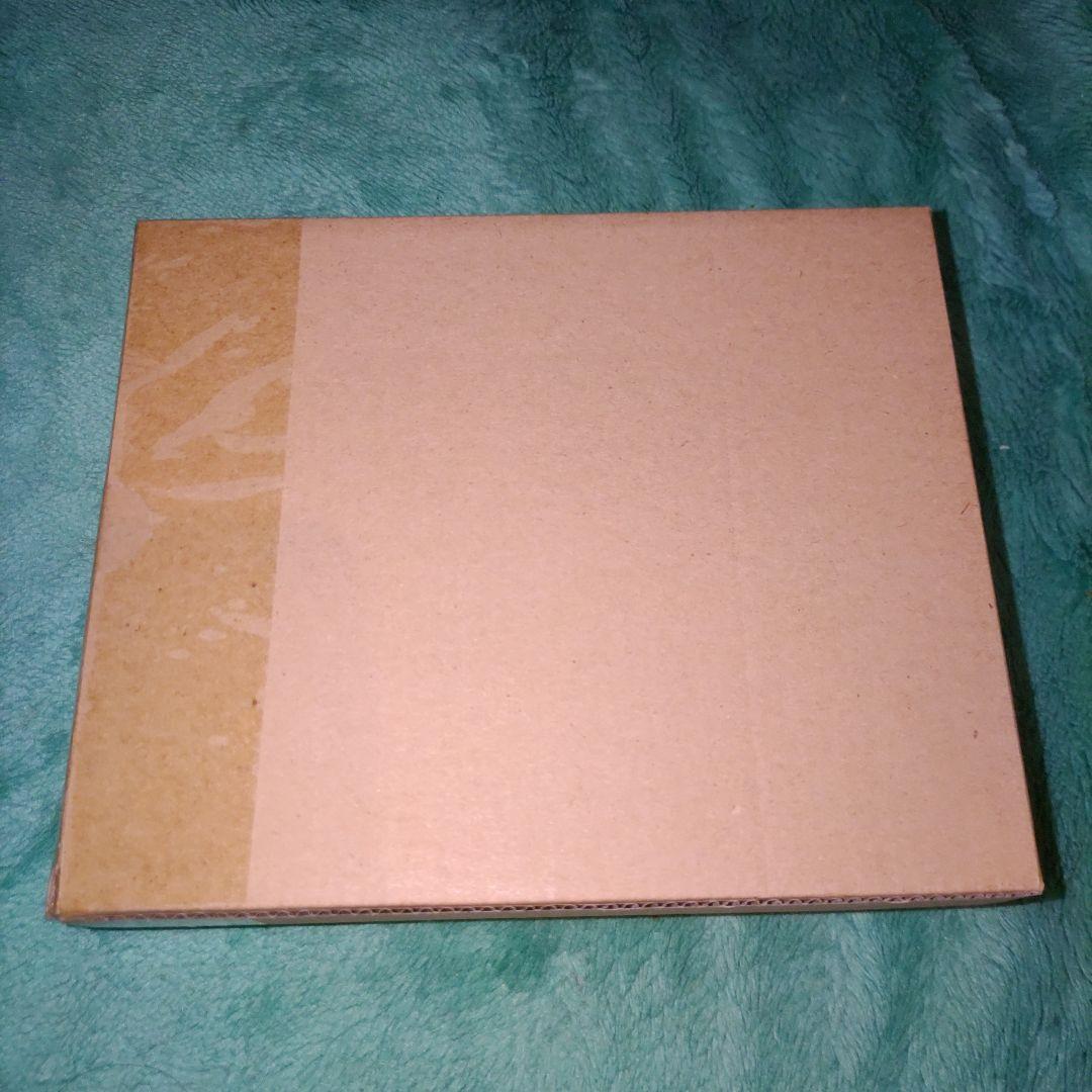 【輸送箱未開封品】S.H.Figuarts ショッカー ライダー