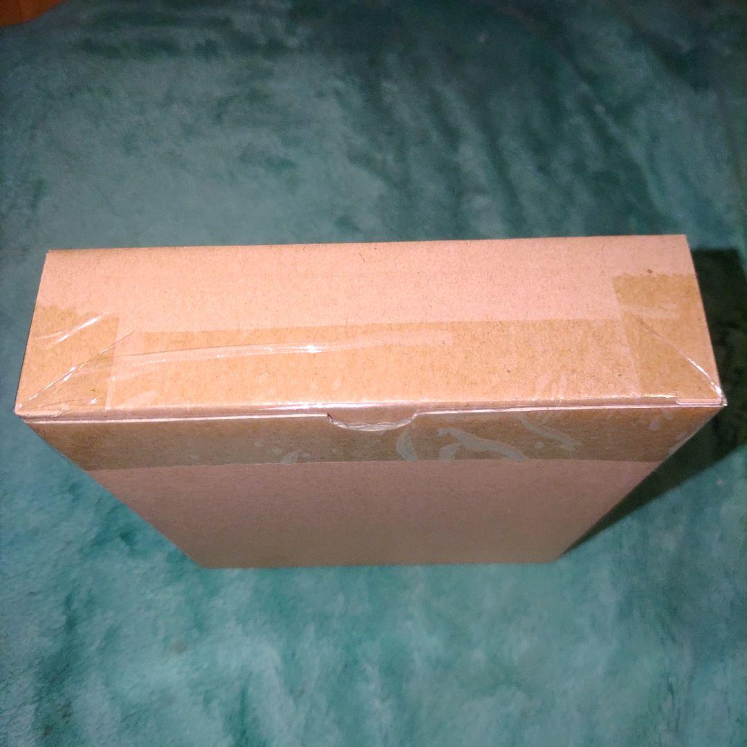 【輸送箱未開封品】S.H.Figuarts ショッカー ライダー