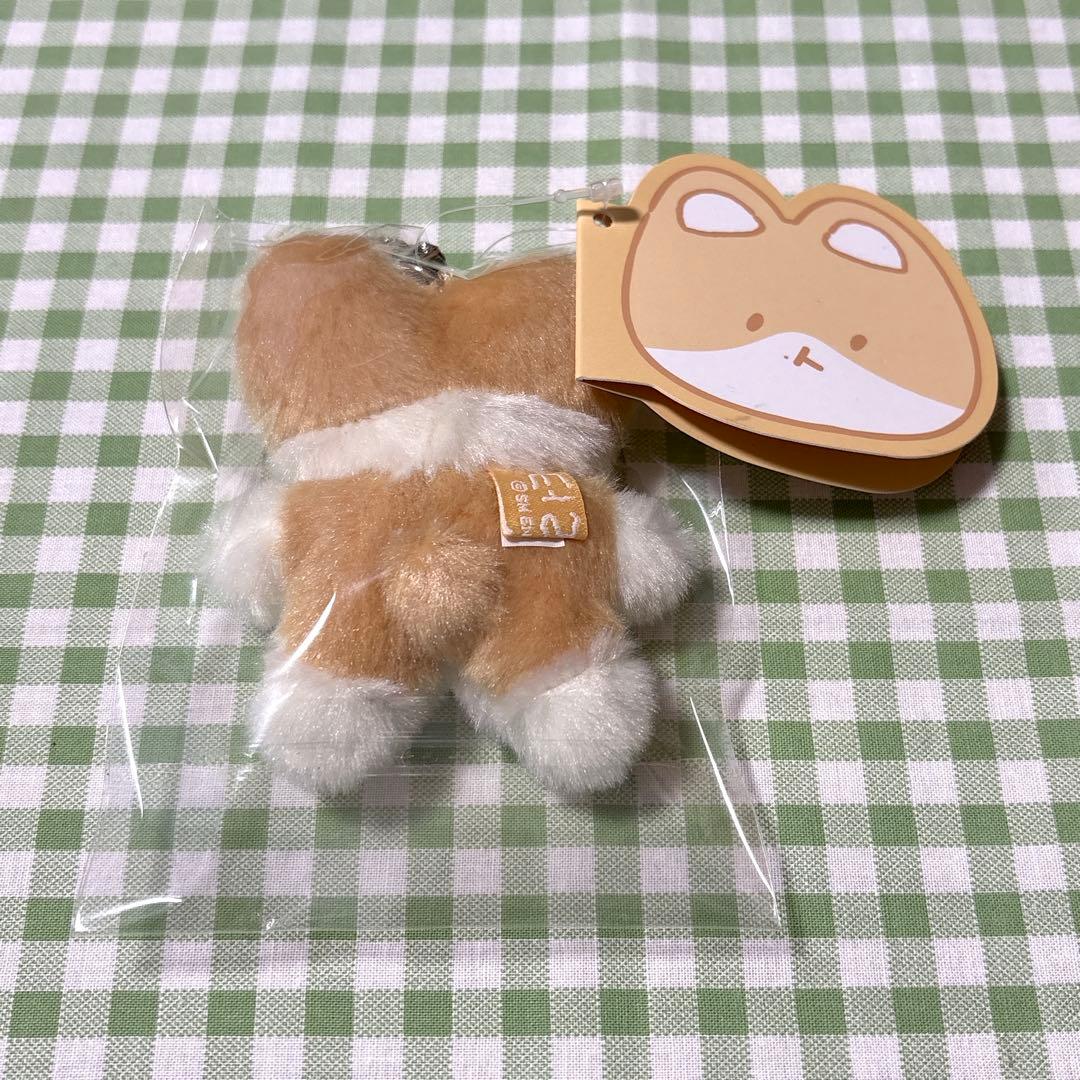 EXO ベッキョン トレギ TEOLAEGI キーリング