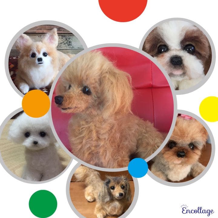 羊毛フェルトオーダー専用ページ