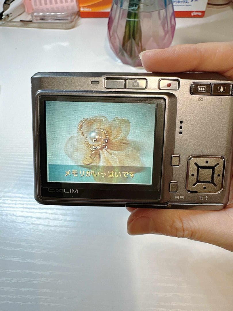 CASIO デジタルカメラ EXILIM EX-S500