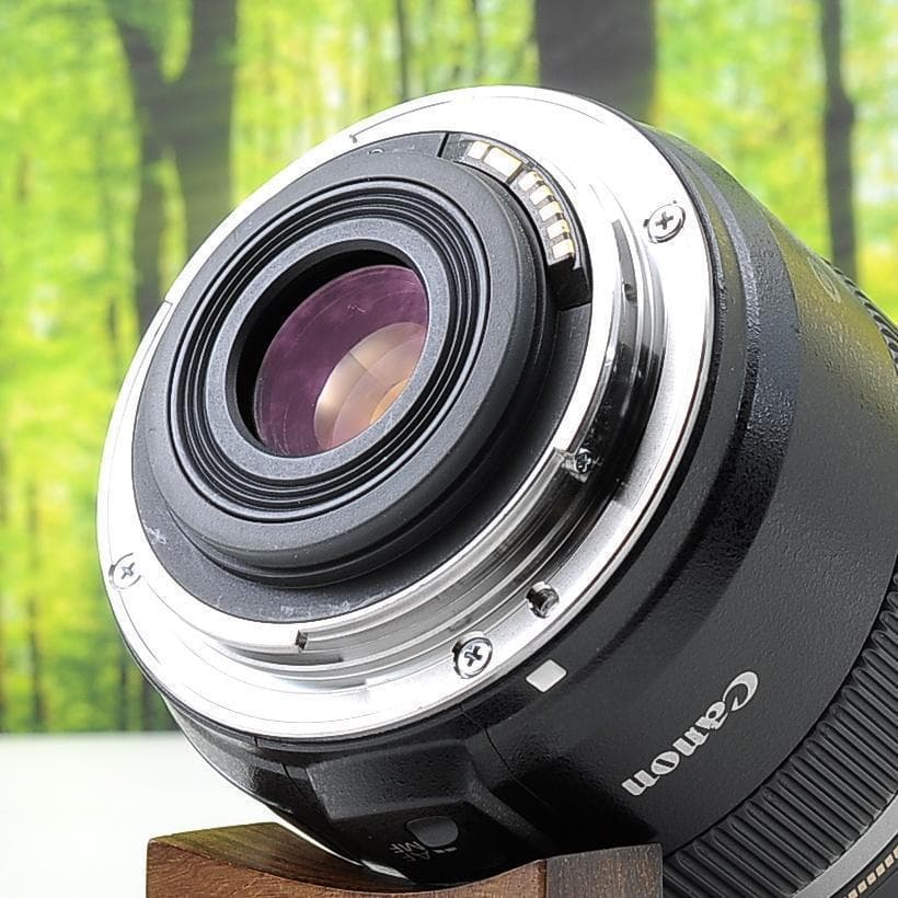 魅惑の単焦点マクロ☆Canon EF-S 60mm F2.8 USM