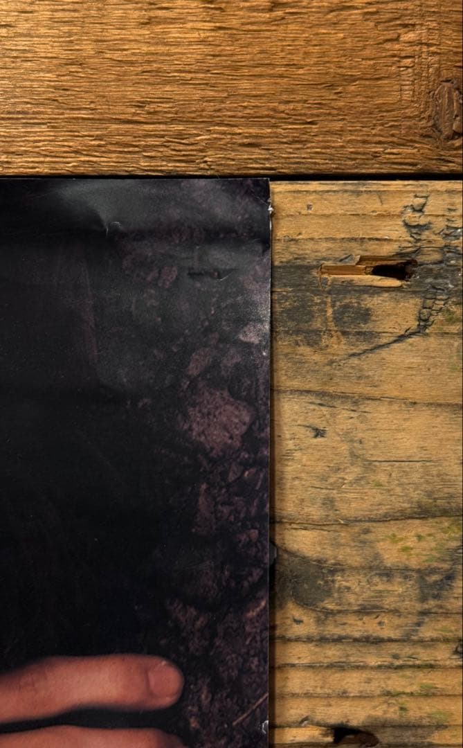 【非売品】　UA　悲しみジョニー　B2ポスター　不機嫌な果実　プロモ　販促