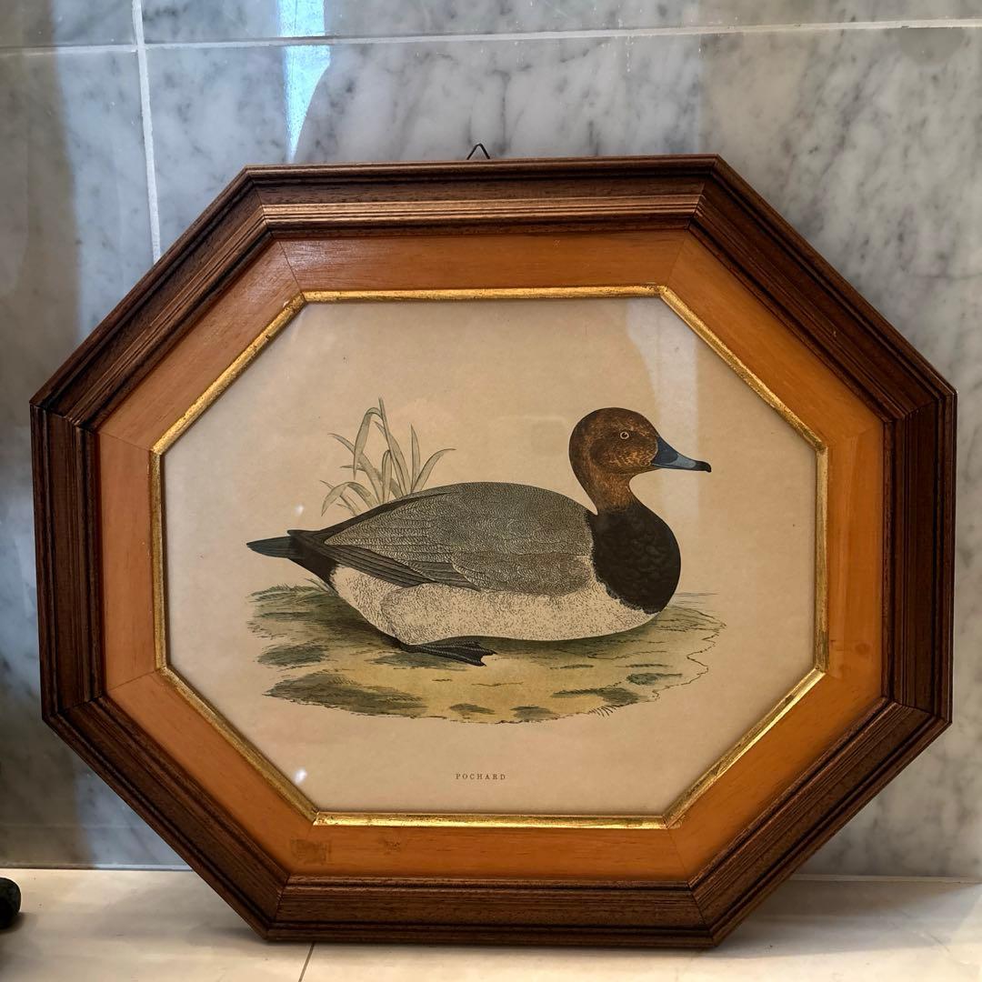 イタリア90年代ヴィンテージ上品なカモが素敵な高級感のある額縁の絵画