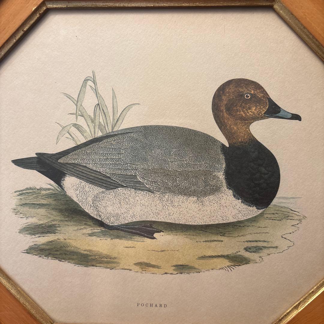 イタリア90年代ヴィンテージ上品なカモが素敵な高級感のある額縁の絵画