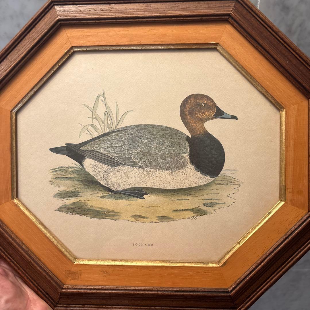 イタリア90年代ヴィンテージ上品なカモが素敵な高級感のある額縁の絵画