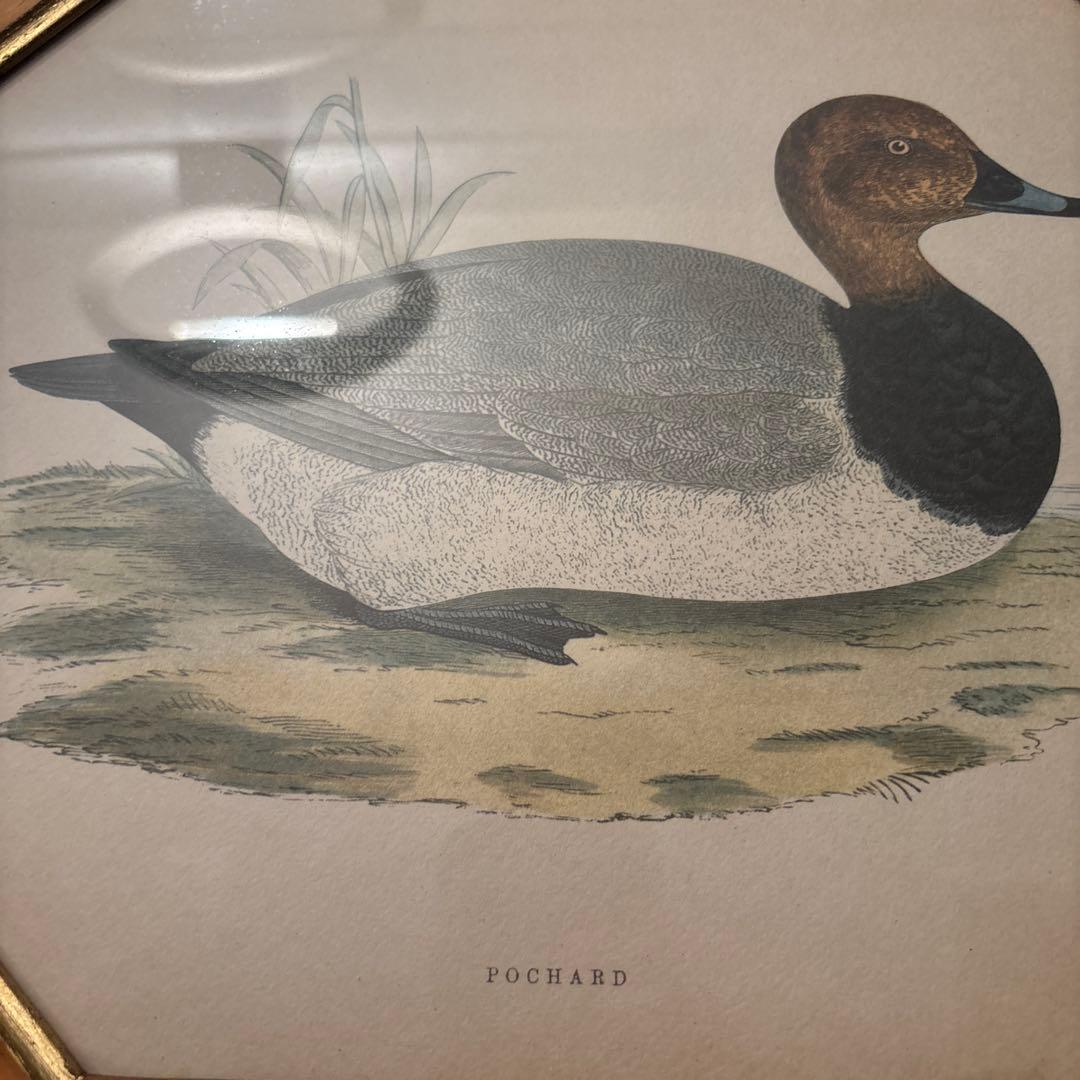 イタリア90年代ヴィンテージ上品なカモが素敵な高級感のある額縁の絵画