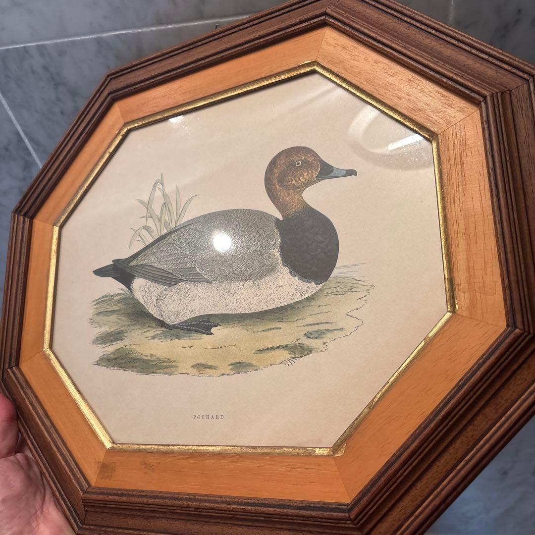 イタリア90年代ヴィンテージ上品なカモが素敵な高級感のある額縁の絵画