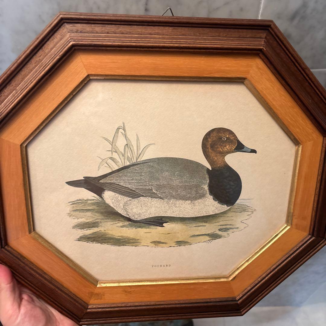 イタリア90年代ヴィンテージ上品なカモが素敵な高級感のある額縁の絵画