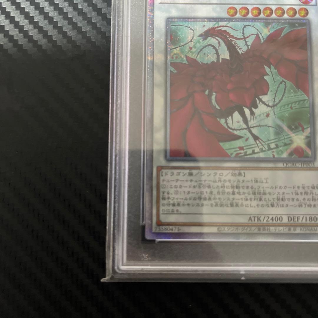 遊戯王　psa10 ブラックローズドラゴン　25th クオシク　絵違い