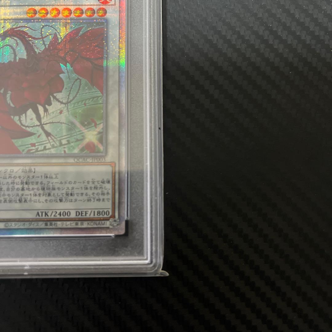 遊戯王　psa10 ブラックローズドラゴン　25th クオシク　絵違い
