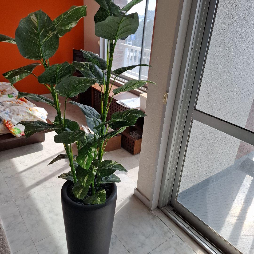 人工観葉植物 約150cm 黒ポット