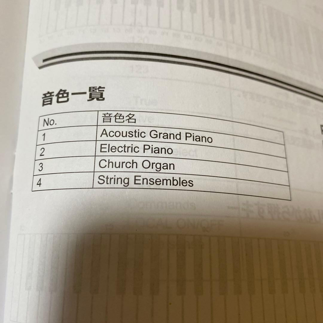 Roland GO:PIANO 20年製　キーボード