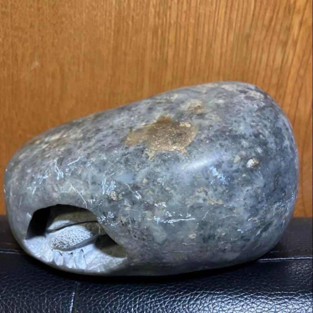 極縁起物　強力開運　強運　金運呼ぶ銭亀の石像　説明読み購入金額決めて下さい！呪物