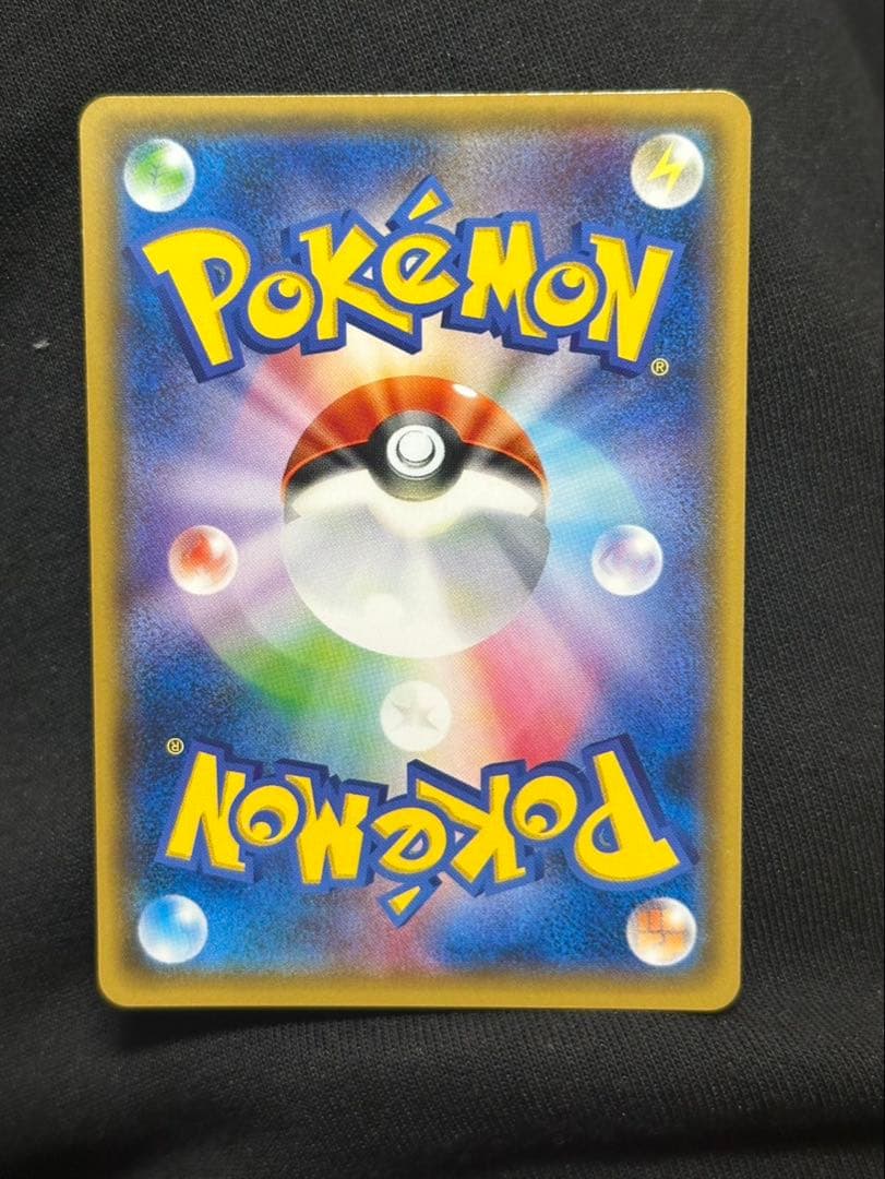 ポンチョを着たイーブイ リーフィア