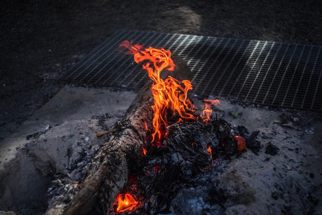美品+ 分解清掃済 Helios-44-2 58mm f2 ぐるぐるボケ 21