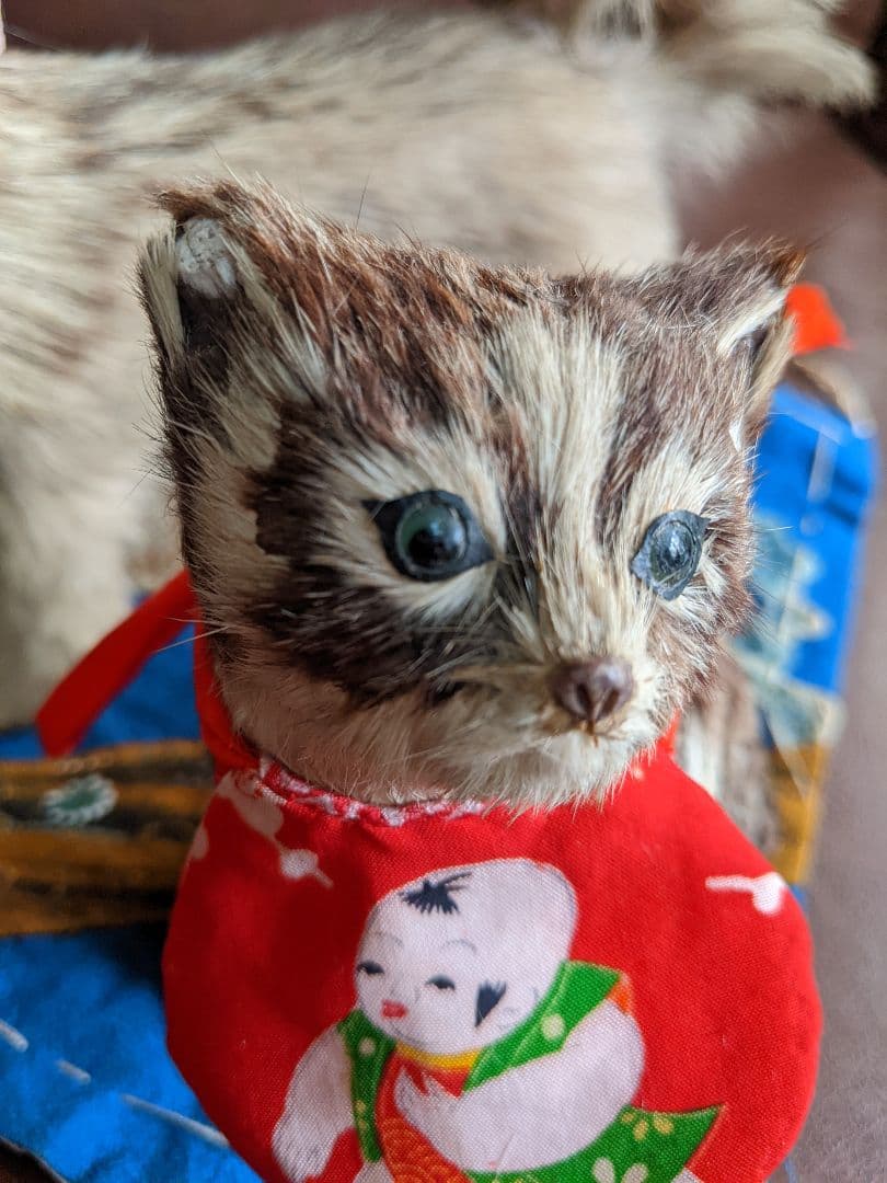 アンティーク・骨董　古い毛植え人形　朕・猫セット　検)市松人形・雛人形