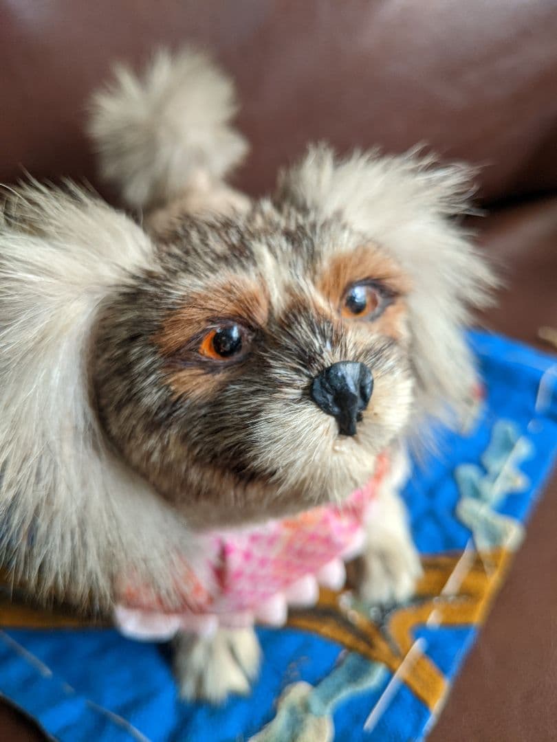 アンティーク・骨董　古い毛植え人形　朕・猫セット　検)市松人形・雛人形