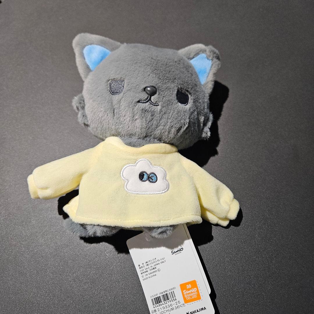 【即日匿名発送】JOCHUM カラビナマスコット　2点セット　ピーハイ