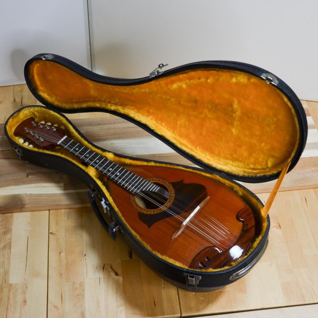 【良品】Suzuki スズキ マンドリン M-215 ハードケース付