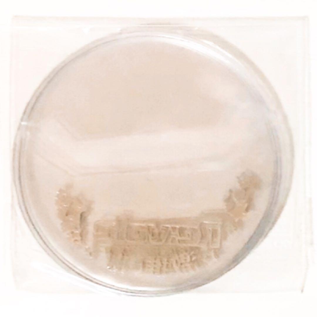 新品★アイナナ【Re:vale】アニメイト★ポイント★缶バッジカバー★2セット