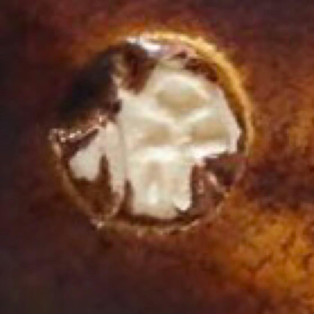 清水保孝　香炉　三彩亀　新品未使用