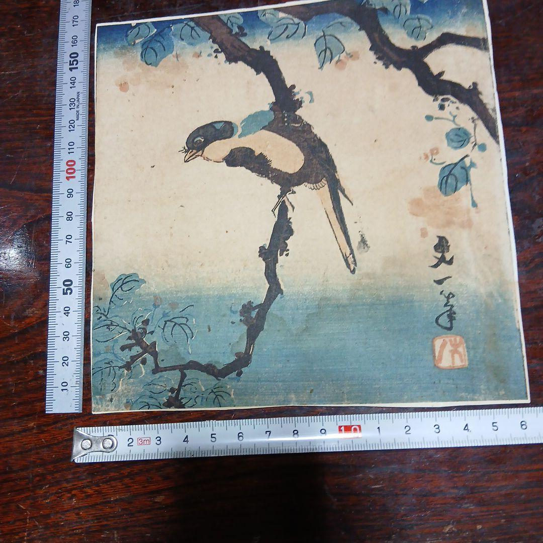 江戸時代　浮世絵　木版画　花鳥画