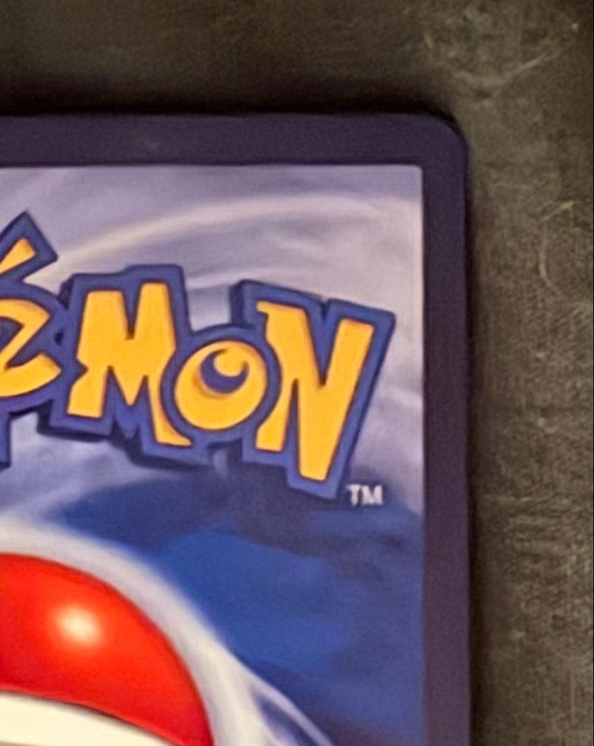 Pikachu with Grey Felt Hat　ゴッホピカチュウ