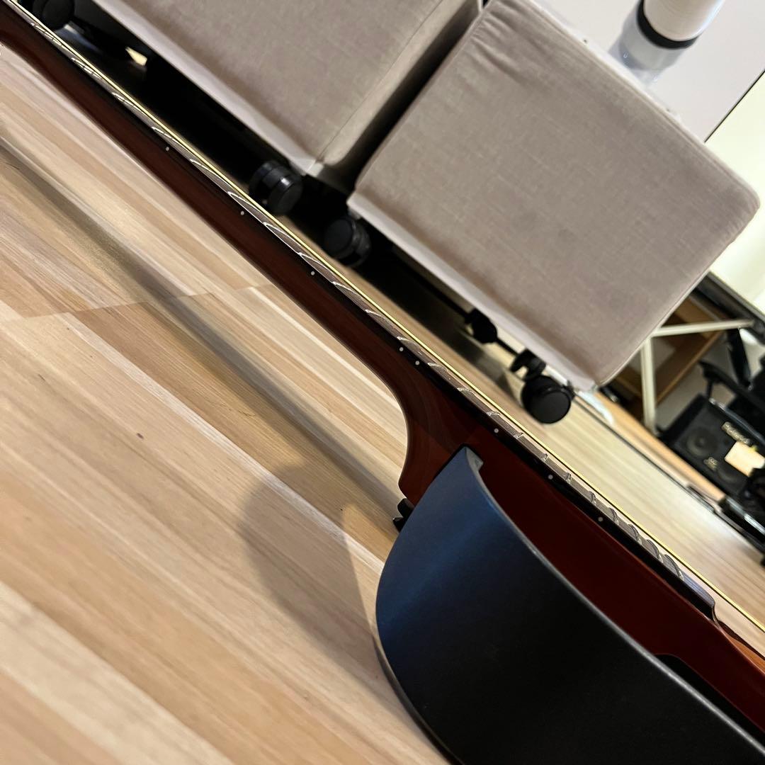 【11172】限定モデル YAMAHA SLG110S fm rtb