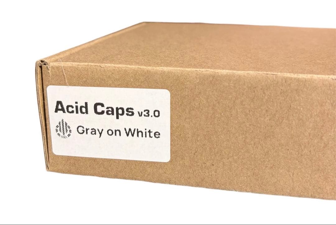 テ*シ様 Acid Caps Standard キーキャップ Gray on W