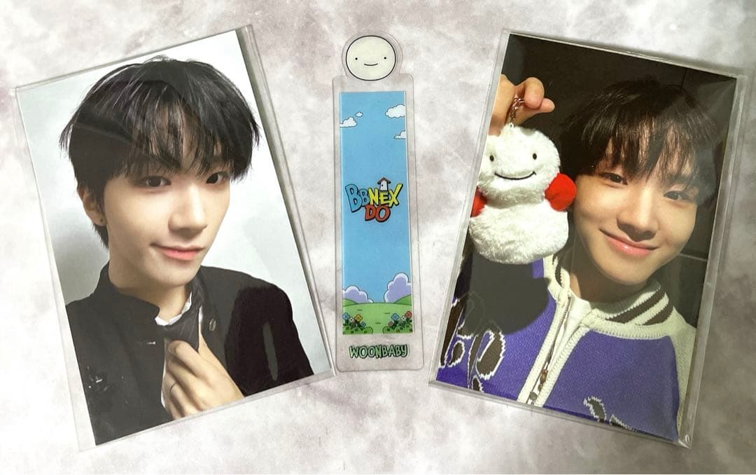 BOYNEXTDOOR プネクド ウナク　キーリング ペンライトカバー セット