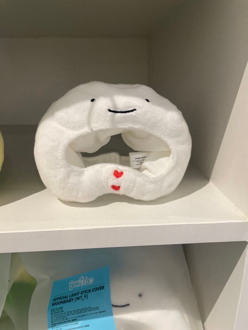 BOYNEXTDOOR プネクド ウナク　キーリング ペンライトカバー セット