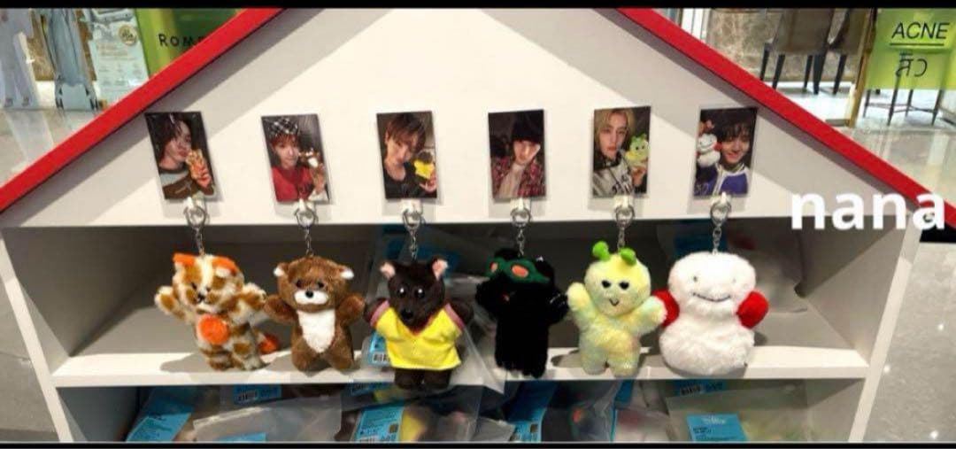 BOYNEXTDOOR プネクド ウナク　キーリング ペンライトカバー セット