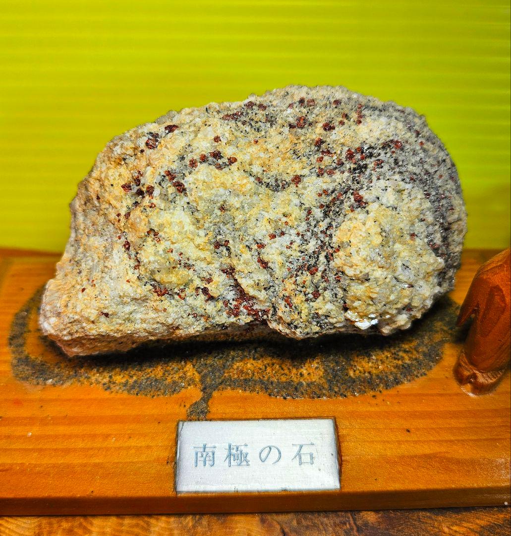 超珍品‼️希少‼️南極の石‼️