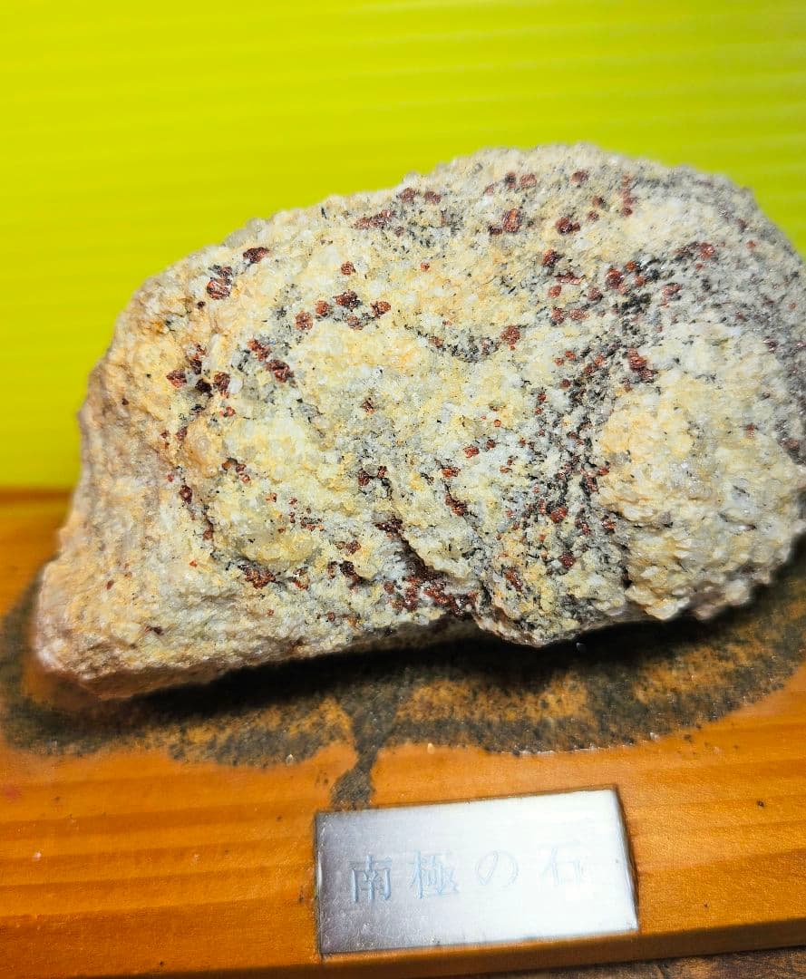 超珍品‼️希少‼️南極の石‼️