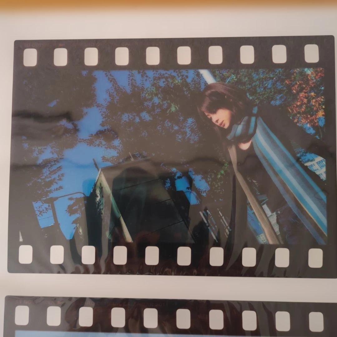 ZARD　坂井泉水さん2011 フィルムスタイル写真　 ６枚セット　希少