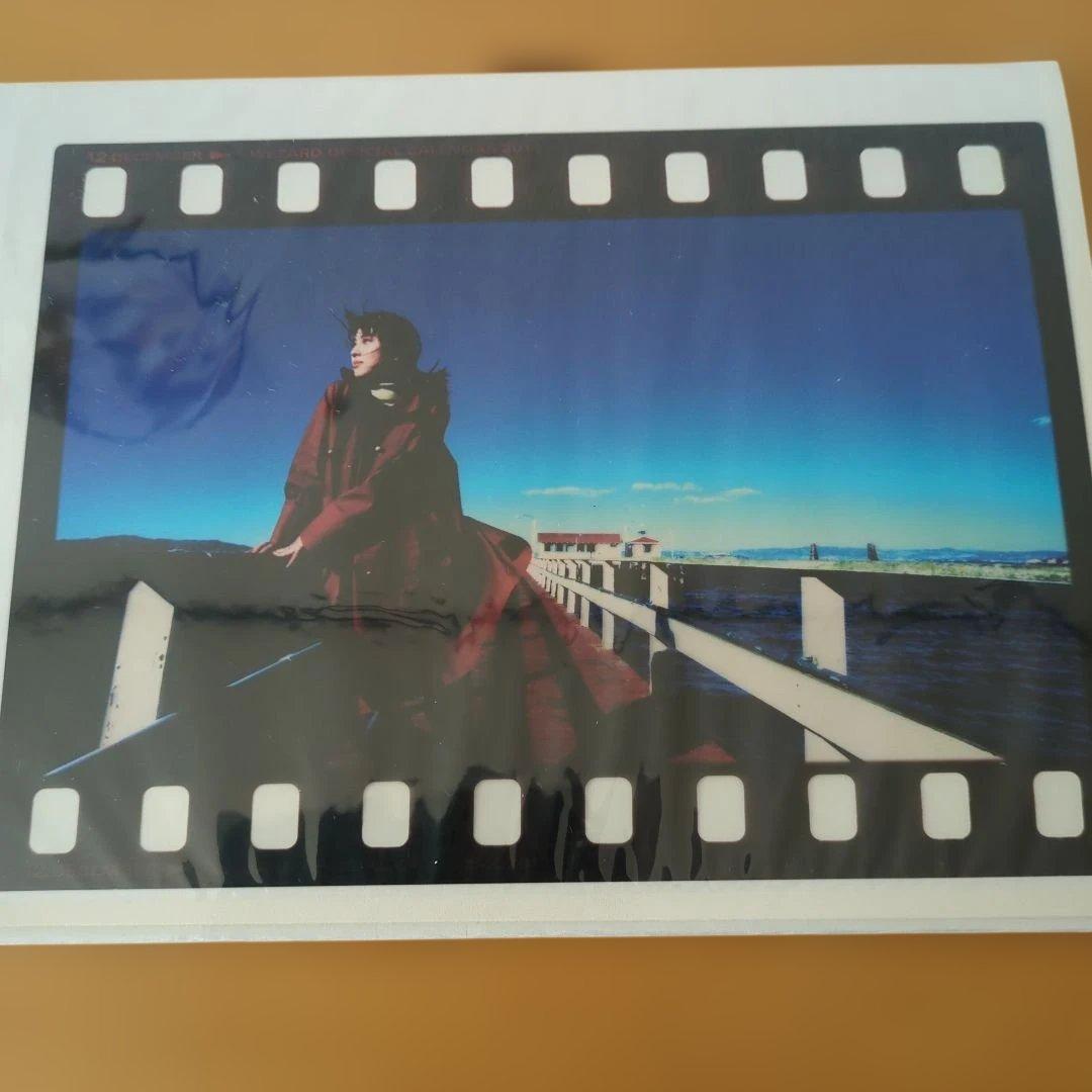 ZARD　坂井泉水さん2011 フィルムスタイル写真　 ６枚セット　希少