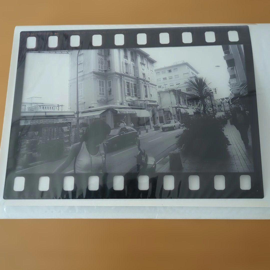 ZARD　坂井泉水さん2011 フィルムスタイル写真　 ６枚セット　希少