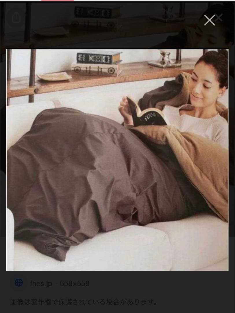 テルスガイザー